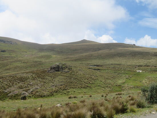 Es geht bis über die Baumgrenze auf 4200 Meter hoch