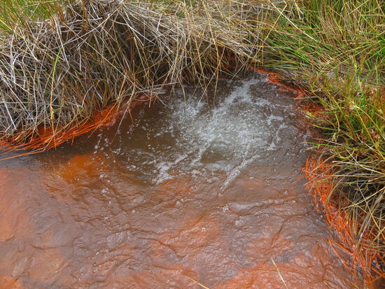 Quelle mit Schwermetallen