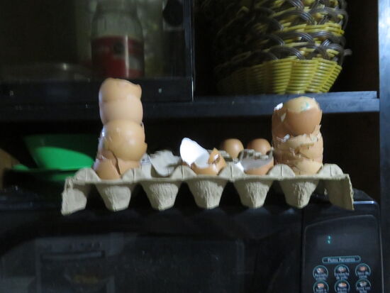 Gäste, die beim letzten Frühstück viel Zeit hatten, haben wohl auch noch Eier bekommen