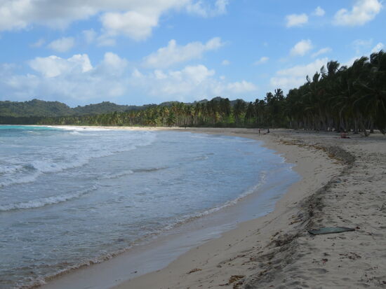 Playa Rincon - mit Braunalgen