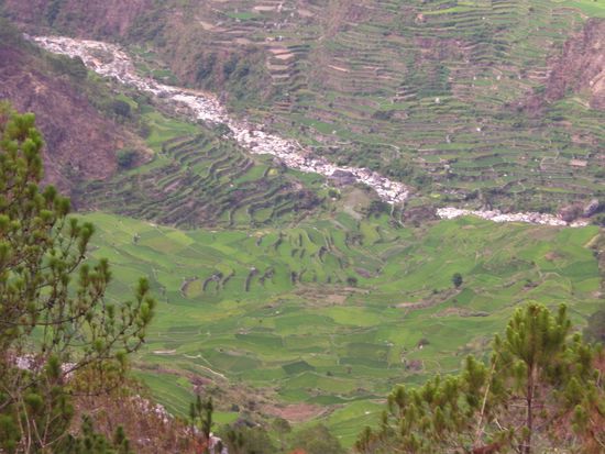 Reisterrassen von Sagada