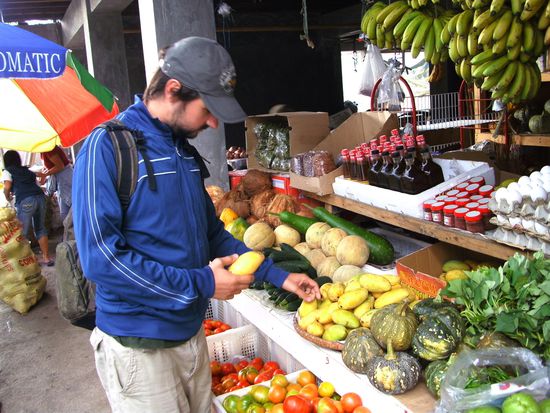 Mmmhhhhh… frische Mangos und Bananen!