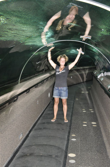Ganz faule fahren auf dem Förderband durch den Tunnel.