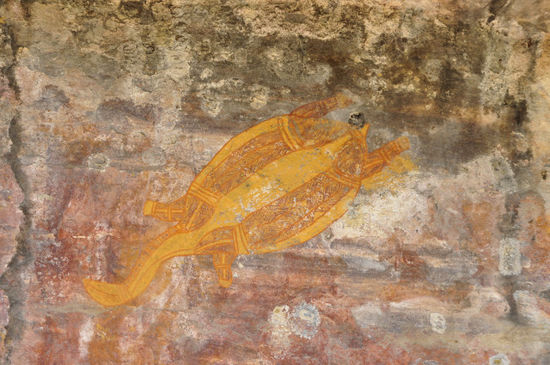 Long Neck Turtle. Die werden immer noch gegessen...