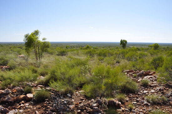 Zwischendurch mal wieder die Landschaft genossen; hier die offizielle Grenze zum Outback mit unglaublichen Weiten...