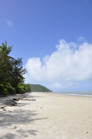 ...und schon sind wir dort - Cape Tribulation. Weiter nördlich gehts nur mehr mit einem 4WD, ganz sicher aber nicht mit unserer Berta.