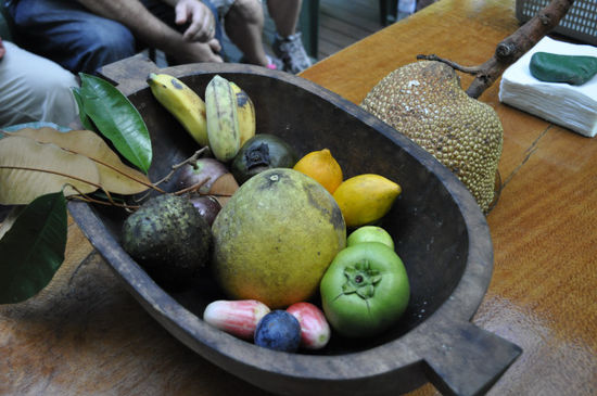 Super interessant war eine Fruit Tasting Tour, die wir bei einer Farm die 150 exotische Früchte anbaut, mitgemacht haben. Die Farm gehört zwei Aussteigern, die nun auf alternativ machen.
