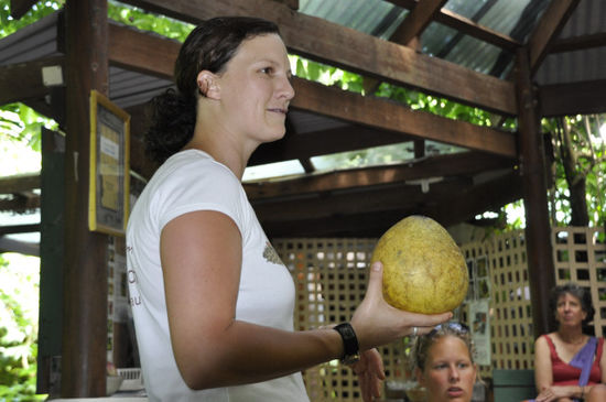 ...Pomelo...