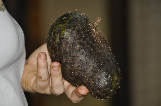 ...und unser absoluter Favourite: die Guanabana