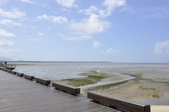 Cairns ist ein nettes Städtchen wo man an der Uferpromenade entlangwatscheln kann...