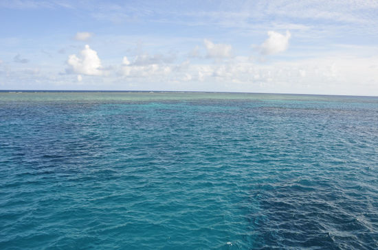Nach 3 Stunden Fahrt waren wir dann auch schon am Milln Reef, eines von 4 äußeren Reefs die der Company quasi "gehören". Die machen das ganz gescheit dort und teilen sich die Reefs untereinander auf, dh man betaucht quasi exklusiv die einzelnen Reefs.