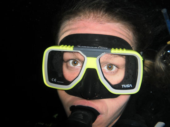 Das Adrenalin steigt auf alle Fälle, vor allem wenn man beim safety stop unter dem Boot hängt und die Grey Reef Sharks im Bootslicht um einen herumkreisen sieht. Unsere kleinen Wunden, etc. wurden vorher alle feinsäuberlich abgeklebt.