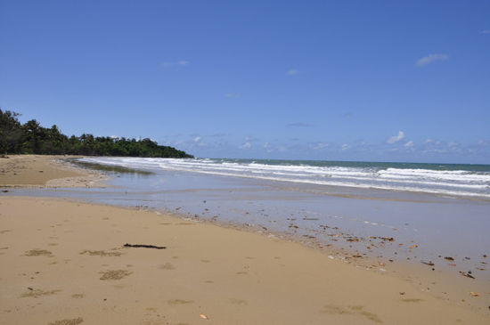 Ein Stop am Mission Beach zwischen Cairns und den Whitsunday Islands