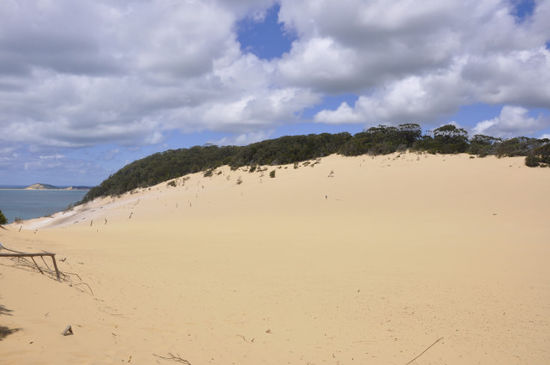 Der Carlo Sandblow, eine große Sanddüne die bis ins Meer hinunterreicht...