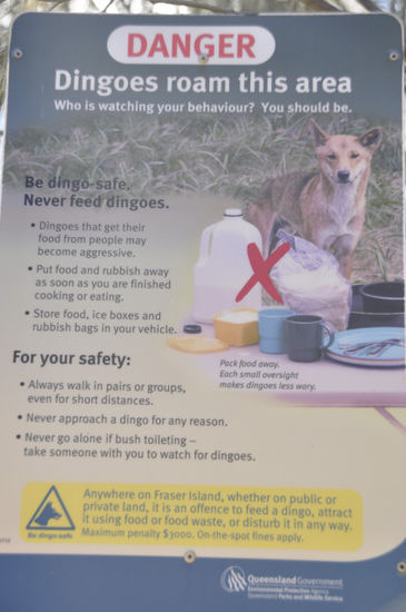 ...und dem ganzen Stress den die Aussies hier um die Tiere machen...