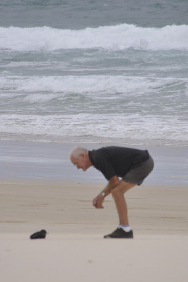Die waren voll fertig und sind entweder von Dingos gefressen worden oder von der Flut ins Meer gespült worden. Auch unser Nachbar hier...