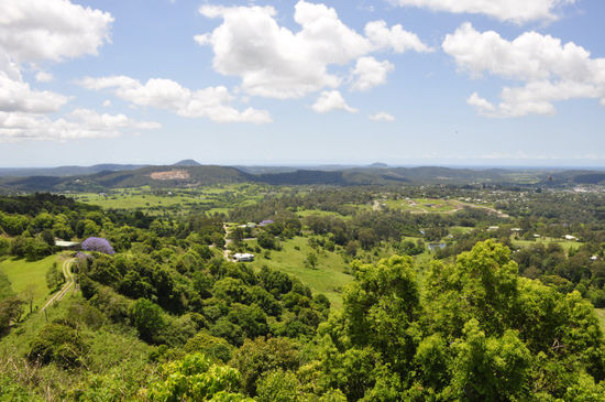 Unterwegs auf einer "wundervollen Rundfahrt auf einem lieblichen Höhenrücken" (so steht das in unserem Führer geschrieben) nördlich von Brisbane