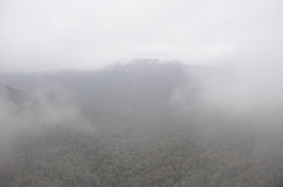 Und dann waren wir auch schon bei den Blue Mountains. Dort solls wundervolle Schluchten, Täler, und Lookouts geben...
