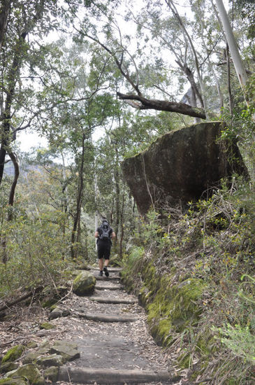 Dann wandert man im Valley weiter bis man wieder zur Scenic World kommt. Die haben da unten so einen Erlebnisteil ins Valley reingebaut, mit Plankenweg und so...