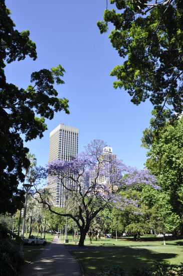 Der Hyde Park