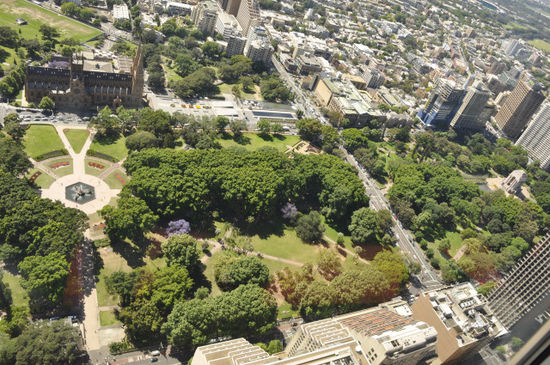 Der Hyde Park von oben.