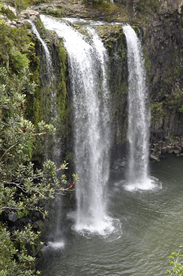 Whangarei Falls