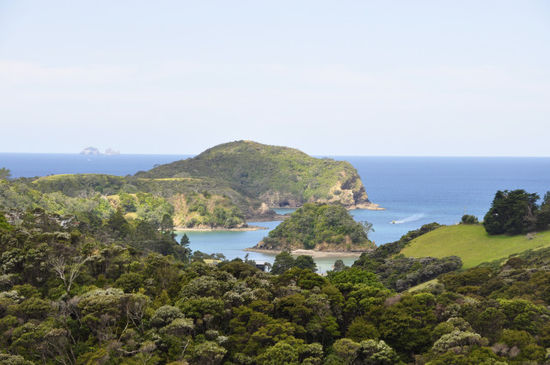 Die Tutukaka Küste - ganz im Horizont die Poor Knights Islands wo wir tauchen waren
