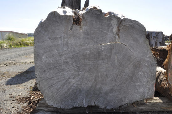 Das Holz ist bis zu 40.000 Jahre alt...