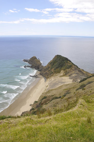 ...und nach dem Glauben der Maoris die Seelen der Verstorbenen da runterwandern, an den Wurzeln des Baumes, den man auf dem Foto noch ganz klein erkennen kann (angeblich blüht der nie) runterrutschen und übers Meer in die ewigen Jagdgründe eintreten.