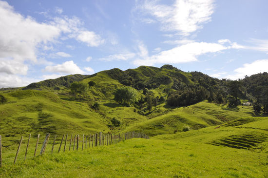 Nach diesem Tagesausflug sind wir mit der Lucy wieder zurück an der Westküste entlang Richtung Auckland...