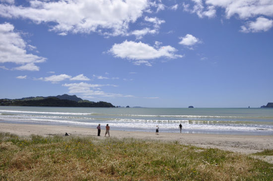Der "Stadtstrand" von Whitianga...