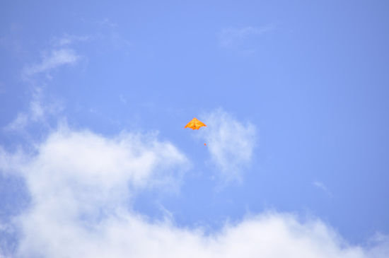 ...wo die Kiwis mit so einem Kite fischen.