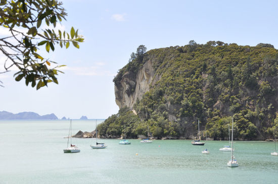 Cooks Beach bei Whitianga