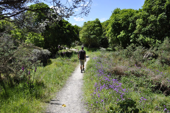 und dann heißts wieder mal wandern
