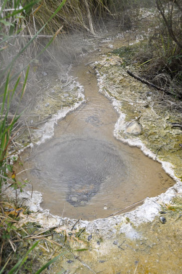 Die Mördermuschelquelle - 110°C heiß