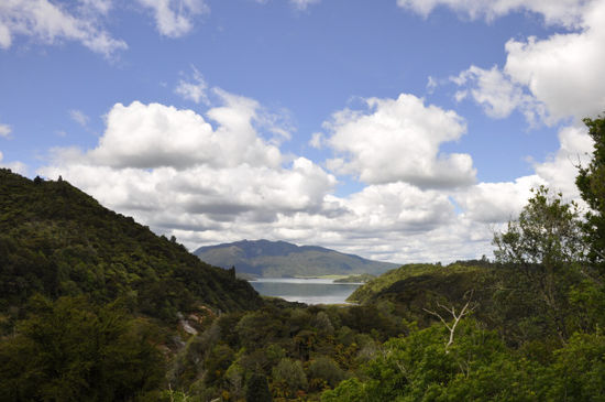 Blick zum Tarawerasee mit dem Mt. Tarawera im Hintergrund