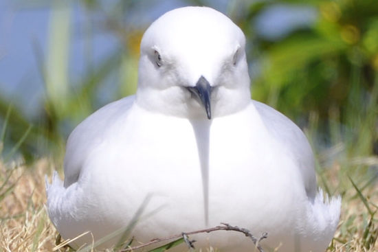 Dabei lässt sich gut die heimische Vogelwelt beobachten.
