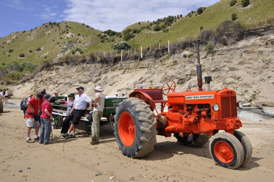 Und dann simma los, mit Gannet Beach Adventures 9km mit so einem Gefährt bei Ebbe über den Strand von Cape Kidnappers.