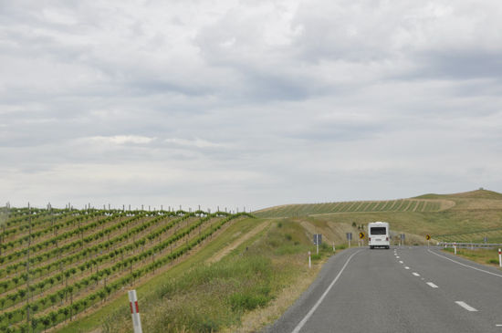 Fahrt durch die Marlbourough Region an die Ostküste nach Kaikoura