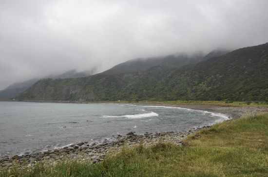 Die Küste bei Kaikoura. Und hier haben wir sie das erste Mal gesehen: