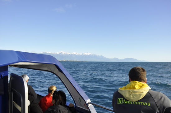 Nach 2 weiteren erfolglosen Versuchen hat dann auch die Whale Watching Tour funktioniert und wir sind raus aufs Meer.