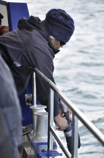 Fishfinder, Sonargeräte, etc. werden nicht eingesetzt, da das für die Tiere schädlich wäre.