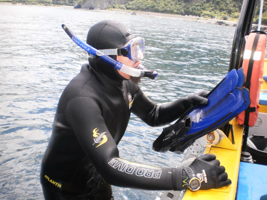 Und dann der 2. Versuch, mit den Robben zu schwimmen.
