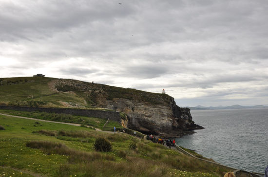 Taiaroa Head - neben unzähligen brütenden Möwen gibts hier auch die weltweit einzige Mainlandkolonie von Albatrossen.