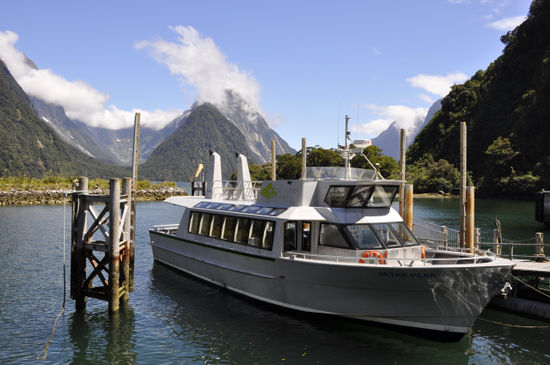 Und dann waren wir 2 Stunden auf dem Milford Sound unterwegs. Auf der linken Seite den Fjord entlang raus bis zum tasmanischen Meer und dann auf der anderen Seite wieder zurück.