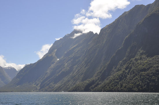 Die Felswände sind mit Regenwald bedeckt, bis zu 1.200m hoch und fallen teilweise senkrecht in den Fjord.
