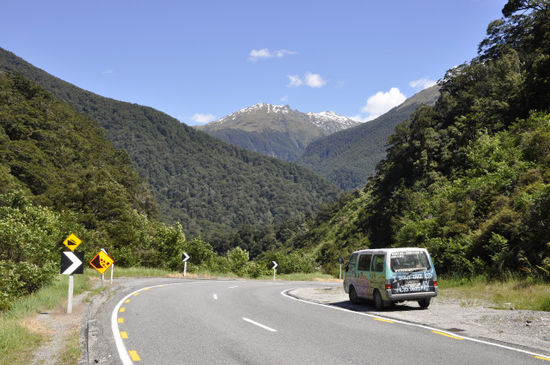 Lucy am Haast Pass