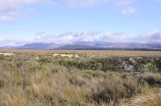 Auf der Desert Road am Rande des Tongariro Nationalparks vorbei