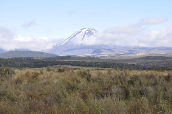 Mt. Ruapehu (2.797m hoch) und der höchste Punkt der Nordinsel