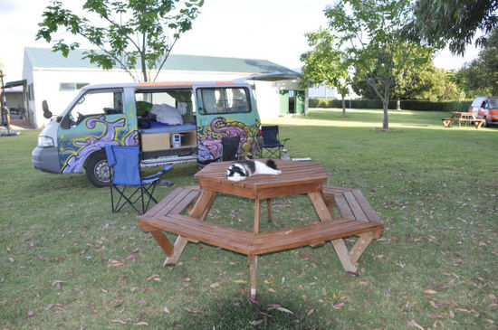 Unser Platzerl am Campingplatz mit neuem Haustier!